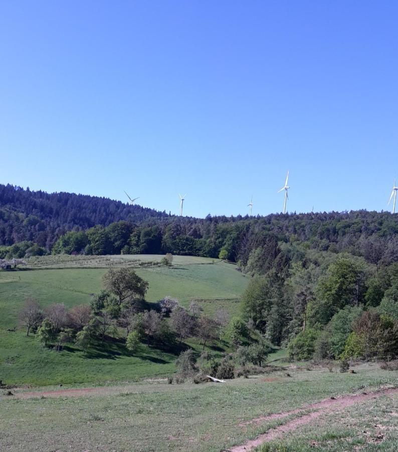 HaingrundBergfeldhof别墅 外观 照片