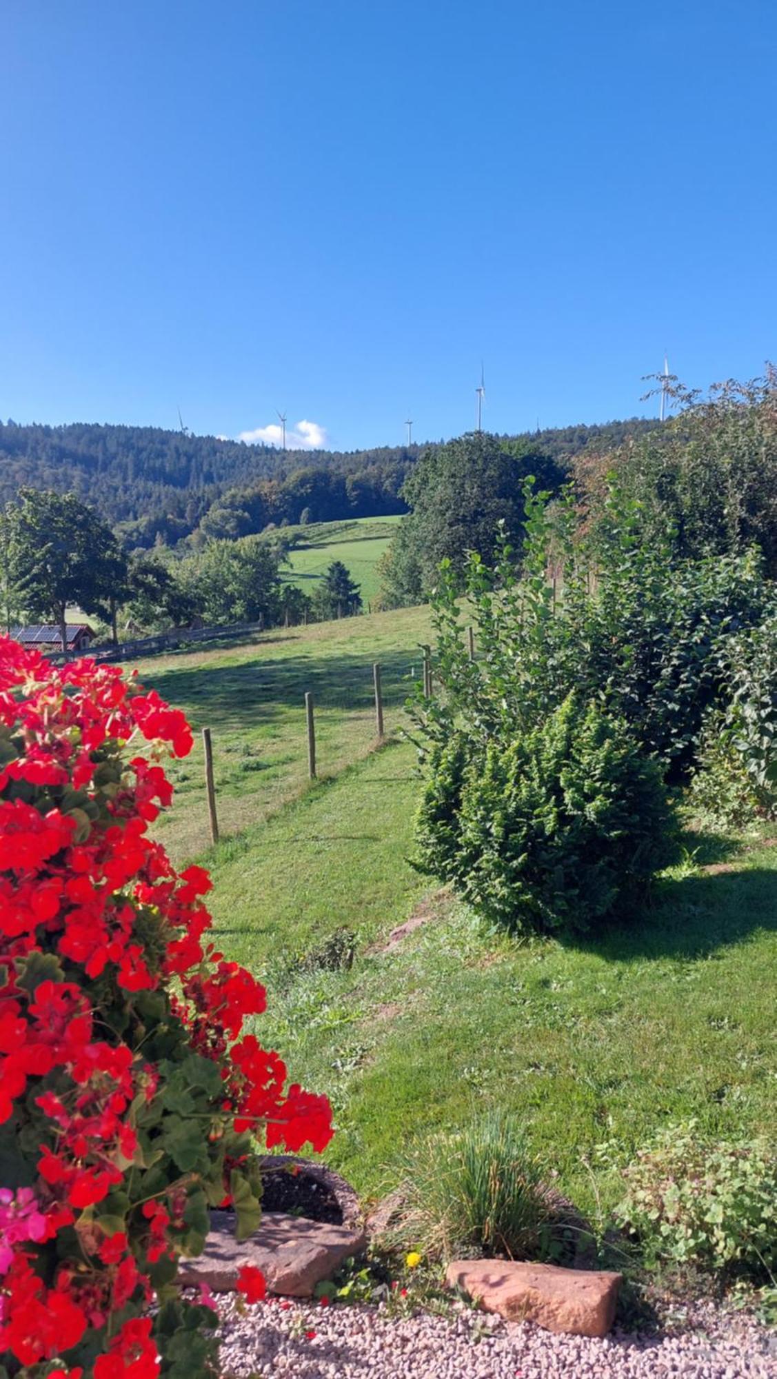 HaingrundBergfeldhof别墅 外观 照片
